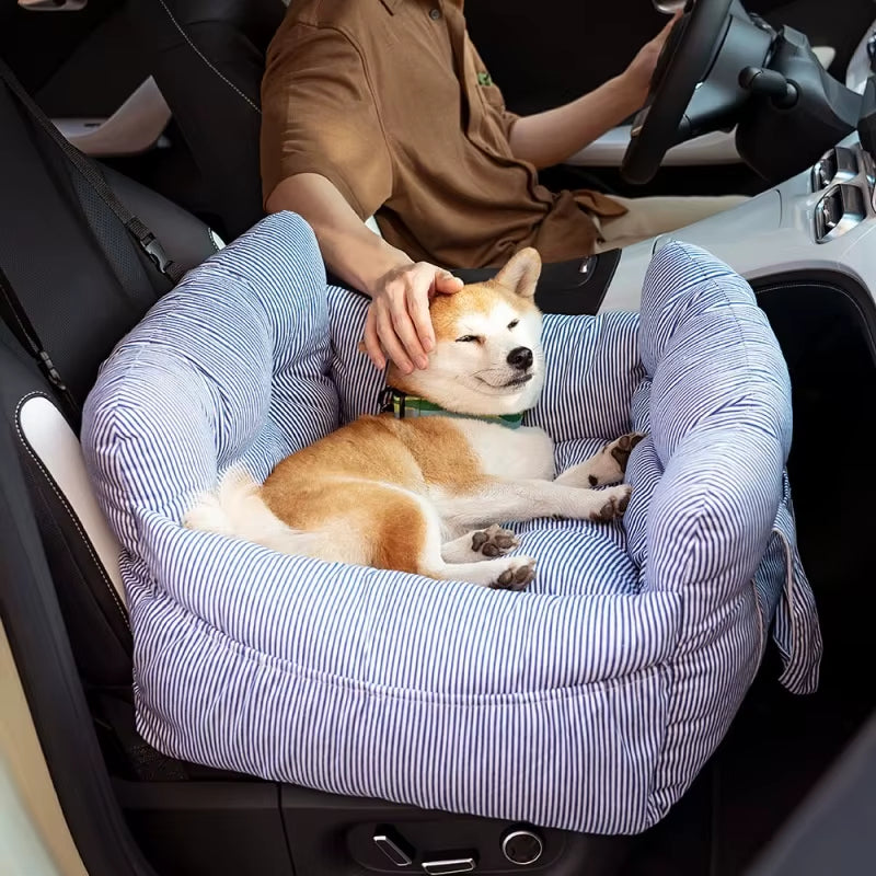 Dog car booster seat installed in vehicle back seat