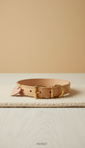Modern Collar With Brass Buckle