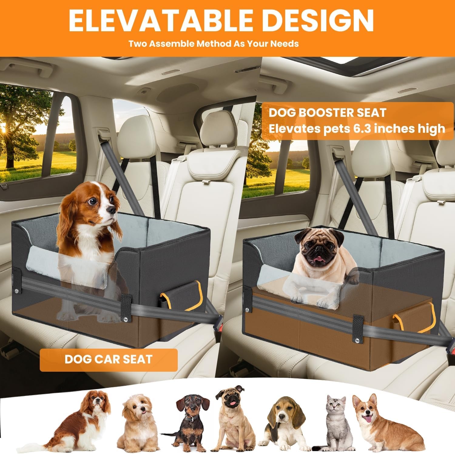 Elevated dog booster car seat, adjustable straps detail